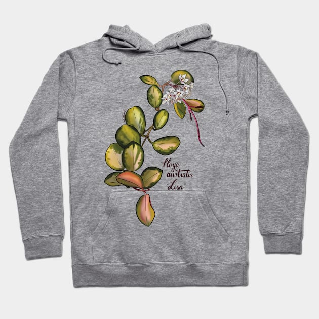 Hoya australis lisa in bloom Hoodie by Wieskunde